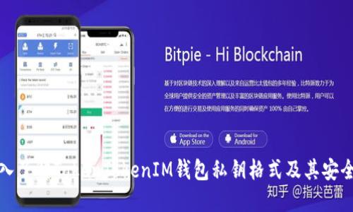 深入了解TokenTokenIM钱包私钥格式及其安全性