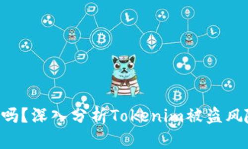 Tokenim安全吗？深入分析Tokenim被盗风险及防范措施